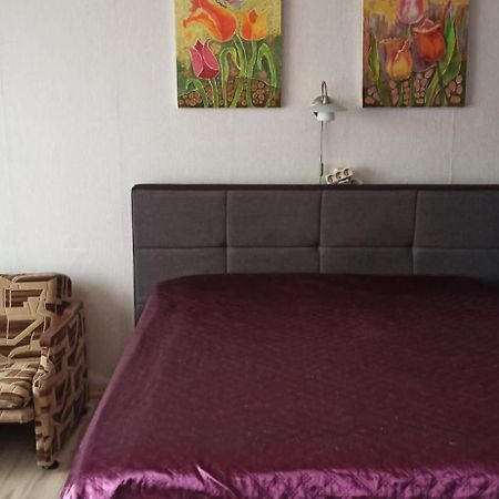 Apartament Mama Kowno Zewnętrze zdjęcie